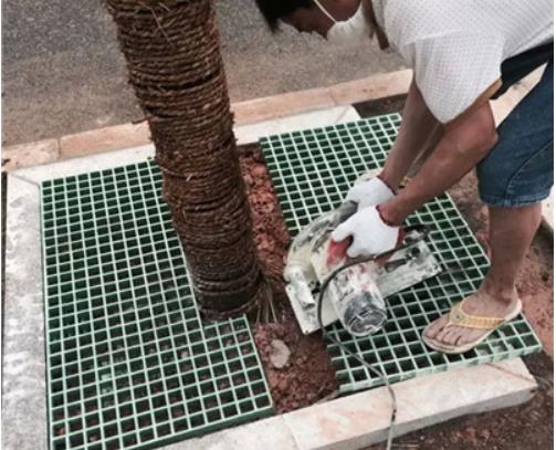 長(zhǎng)沙人民路，安裝樹(shù)篦子